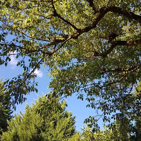 La Bercéenne Affittacamere *