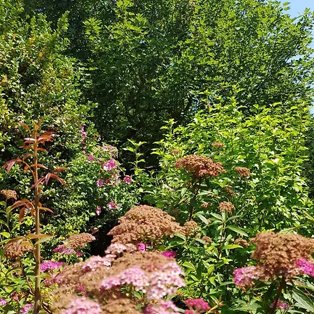 La Berceenne Vendégház Jupilles