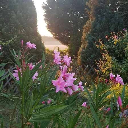 Affittacamere La Bercéenne