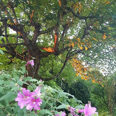 La Bercéenne Affittacamere *