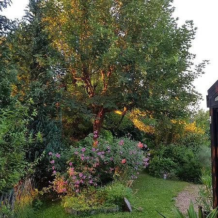 La Bercéenne Maison d'hôtes Jupilles