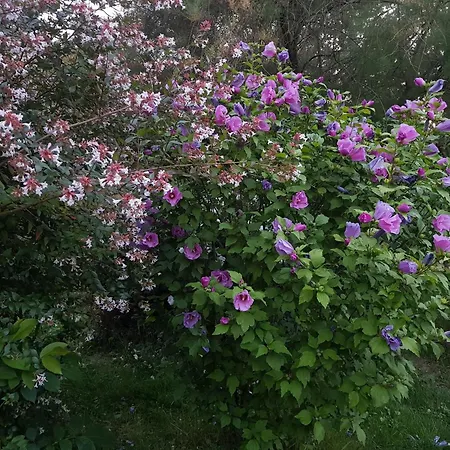 La Berceenne * Jupilles