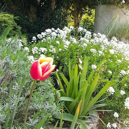 La Bercéenne Affittacamere