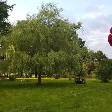 Affittacamere La Bercéenne *