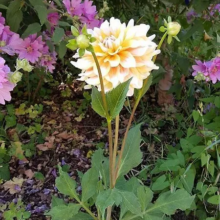 La Berceenne Vendégház Jupilles