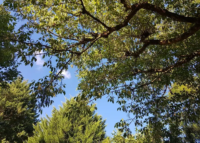 La Bercéenne Affittacamere *