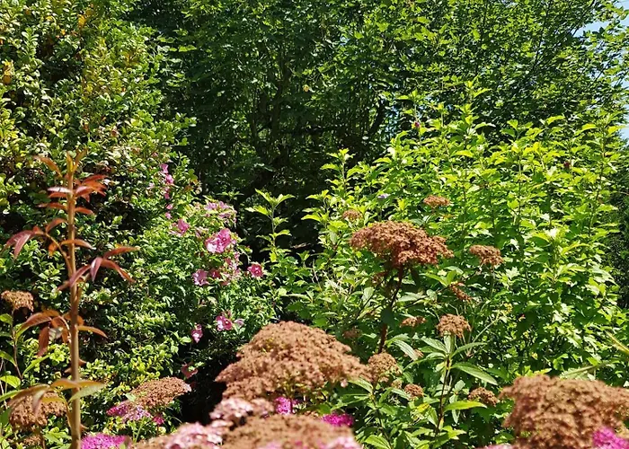 La Berceenne Gasthof Jupilles