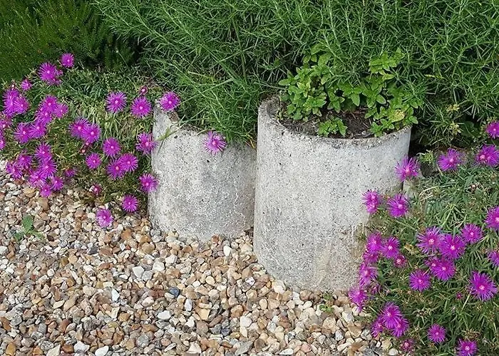 La Bercéenne Affittacamere