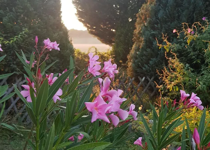 Gasthof La Berceenne