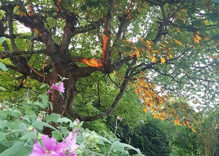 La Bercéenne Affittacamere *