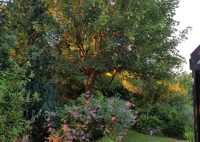 La Bercéenne Affittacamere Jupilles