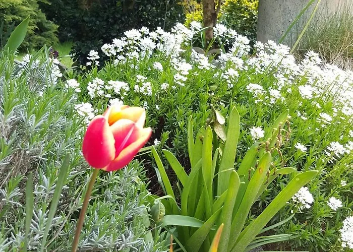 La Berceenne Gasthof