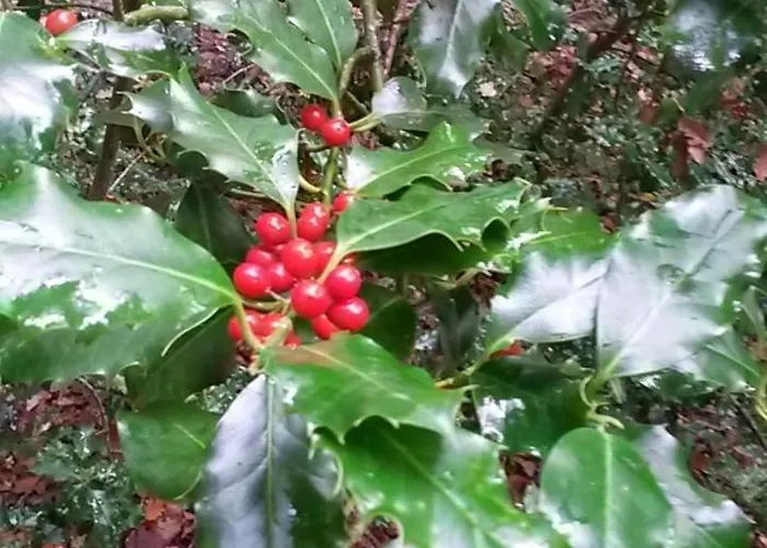 La Berceenne Gasthof